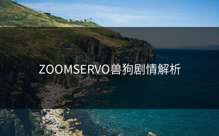 ZOOMSERVO兽狗剧情解析 ZOOMSERVO兽狗剧情解析